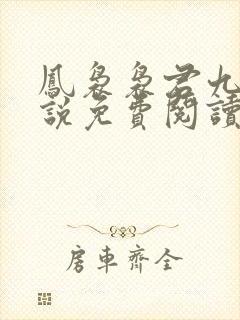凤袅袅君九渊小说免费阅读