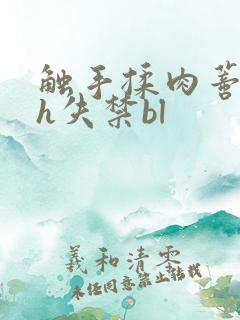 触手揉肉蒂高潮h失禁bl