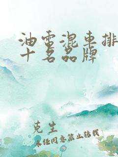 油电混车排名前十名品牌