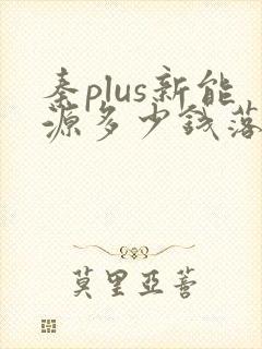 秦plus新能源多少钱落地