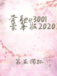 奔驰e300l豪华版2020款