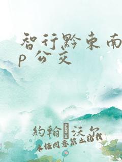 智行黔东南app 公交