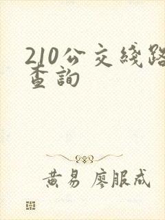 210公交线路查询