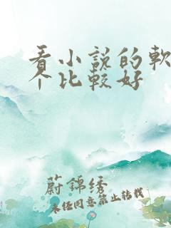 看小说的软件哪个比较好