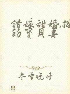 错嫁甜婚,总裁的宝贝妻
