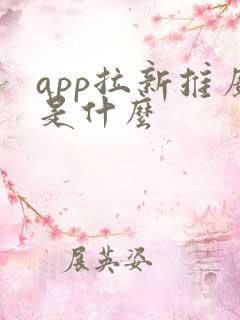 app拉新推广是什么