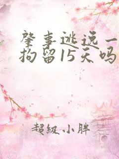 肇事逃逸一定要拘留15天吗