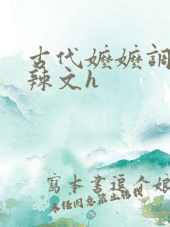 古代嬷嬷调教肉辣文h