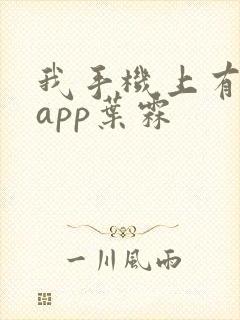我手机上有禁忌app叶霖