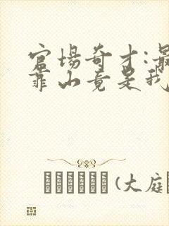 官场奇才:最强靠山竟是我自己李澜全文在