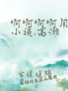 啊啊啊啊用力操小逼,高潮