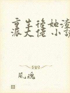 重生后她渣了反派大佬 小说