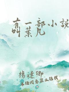 有一部小说主角叫叶凡