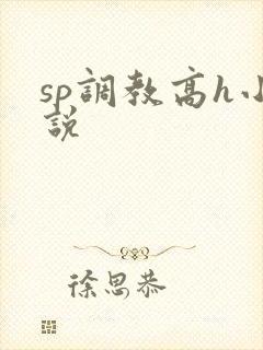 sp调教高h小说