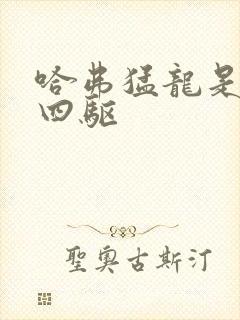哈弗猛龙是全时四驱 哈弗猛龙是全时四驱