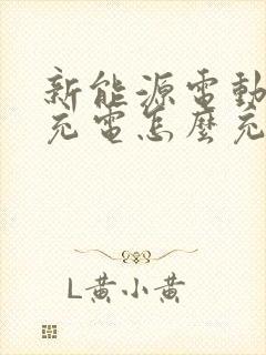 新能源电动汽车充电怎么充