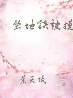 坐地铁被摸小说