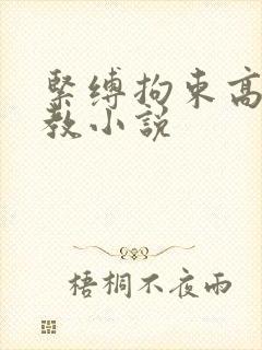 紧缚拘束高潮调教小说
