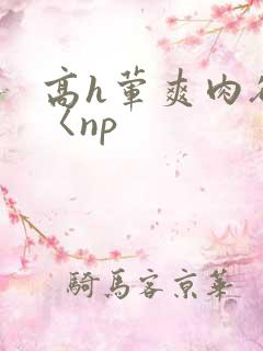 高h荤爽肉欲文〈np