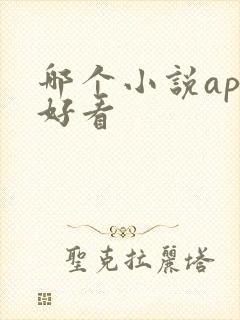 哪个小说app好看