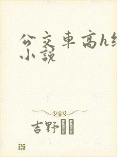 公交车高h纯肉小说