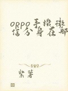 oppo手机微信分身在哪里打开