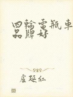 四轮电瓶车哪个品牌好