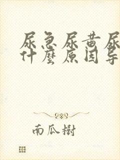 尿急尿黄尿少是什么原因导致的