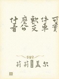 什么软件可以查看公交车实时位置 什么软件可以查看公交车实时位置
