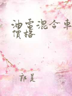 油电混合车电池价格