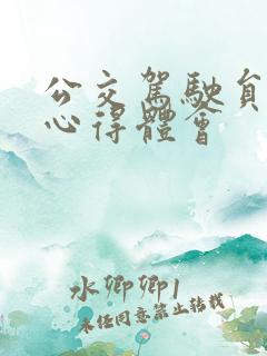 公交驾驶员安全心得体会