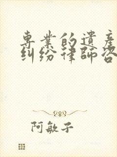 专业的遗产继承纠纷律师咨询 专业的遗产继承纠纷律师咨询