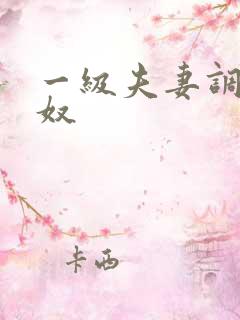 一级夫妻调教男奴