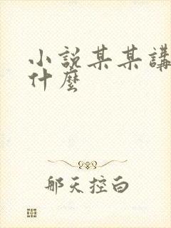 小说某某讲的是什么