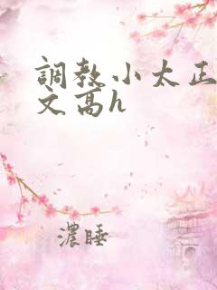 调教小太正肉车文高h