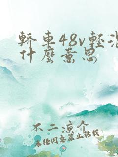 轿车48v轻混什么意思