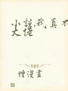 小说,我真不是大佬