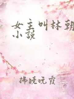 女主叫林朝夕的小说 女主叫林朝夕的小说
