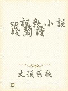 sp调教小说在线阅读