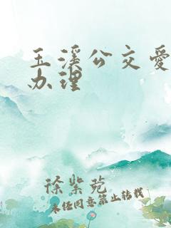 玉溪公交爱心卡办理