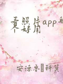 看照片app哪个好用