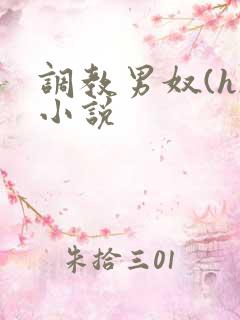 调教男奴(h)小说