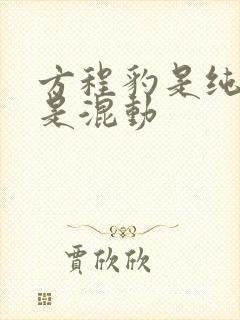 方程豹是纯电还是混动