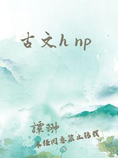 古文h np 古文h np