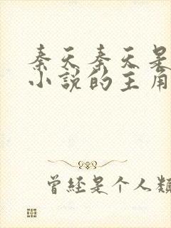 秦天秦天是哪部小说的主角