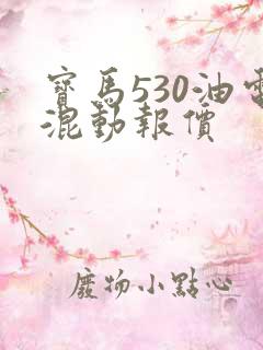 宝马530油电混动报价