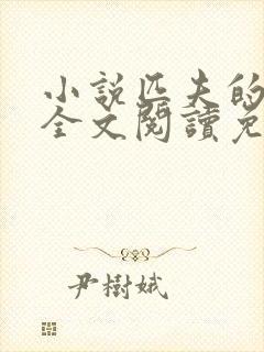 小说匹夫的逆袭全文阅读免费 小说匹夫的逆袭全文阅读免费