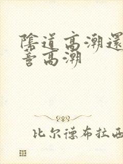 阴道高潮还是阴蒂高潮