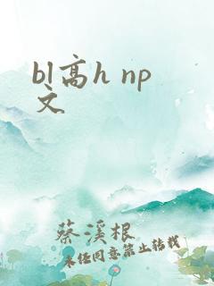 bl高h np文