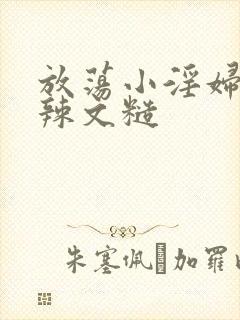 放荡小淫妇h肉辣文糙
